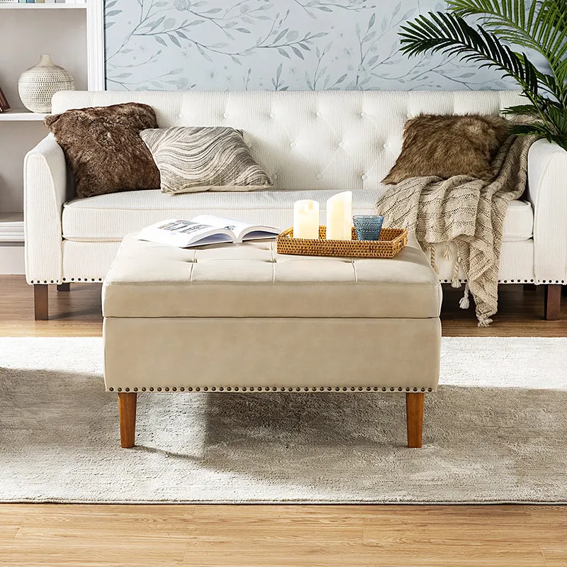 Alejandro Storage Tufted Cocktail Ottoman