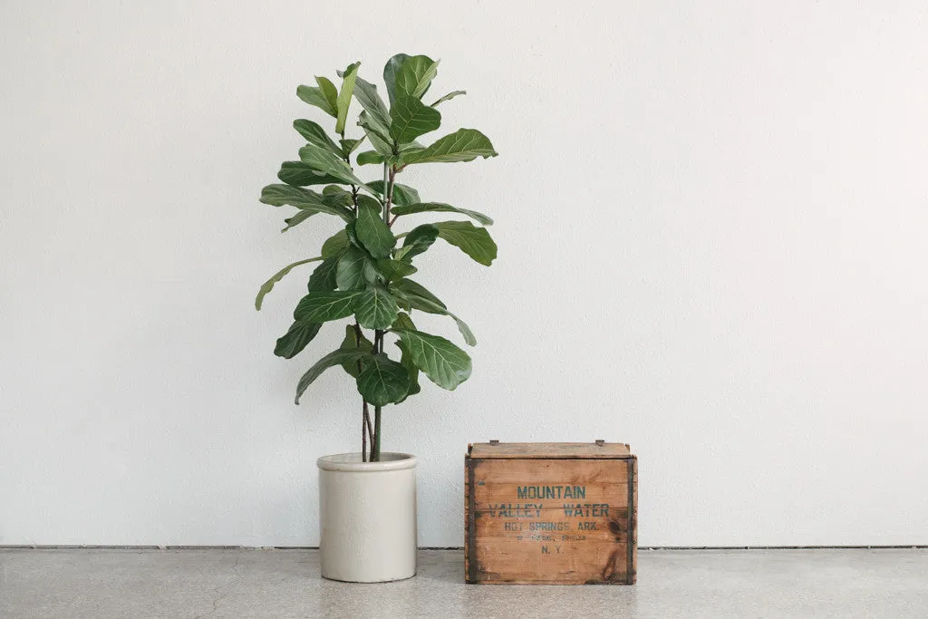 Charleston Crate Table