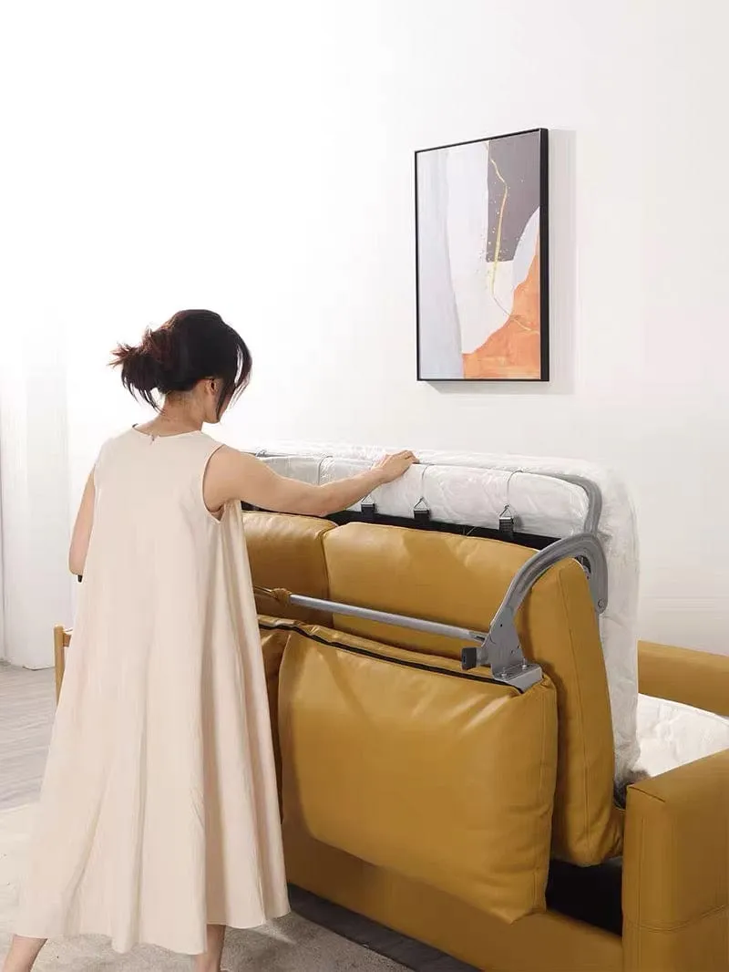 Ray Scratch Resistant Foldable Sofa Bed with Mattress