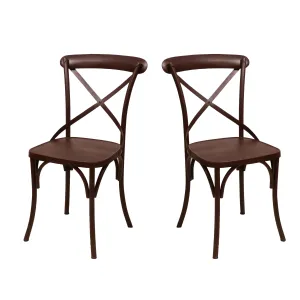 (Set of 2) Dark Brown Metal Exotic Hue Chair